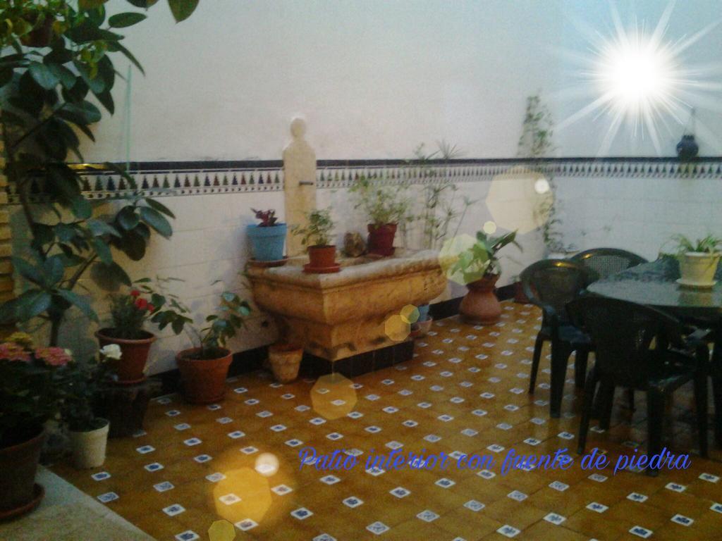 Casa Camino Al Castillo Xàtiva Eksteriør bilde